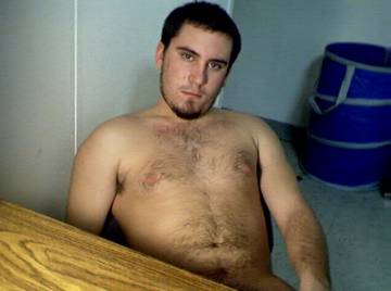 Image thumbnail of Gay bears