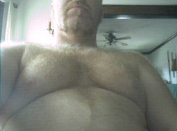 Image thumbnail of Gay bears