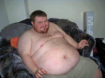 Image thumbnail of Gay bears