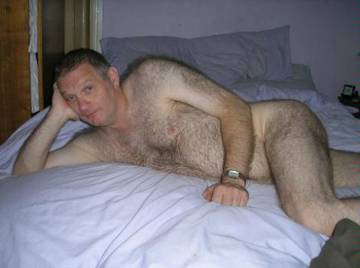 Image thumbnail of Gay bears