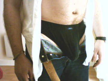 Image thumbnail of Gay bears