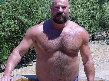 Image thumbnail of Gay bears