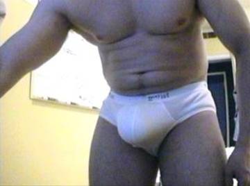 Image thumbnail of Gay bears