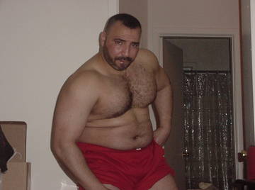 Image thumbnail of Gay bears