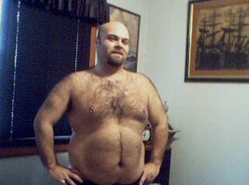 Image thumbnail of Gay bears