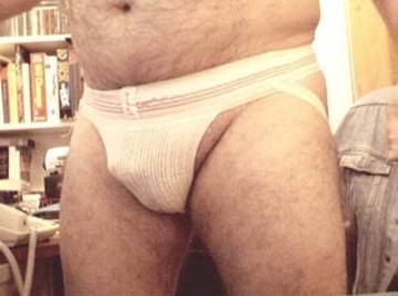 Image thumbnail of Gay bears