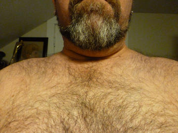 Image thumbnail of Gay bears