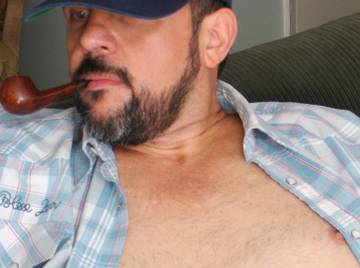 Image thumbnail of Gay bears