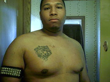 Image thumbnail of Gay bears