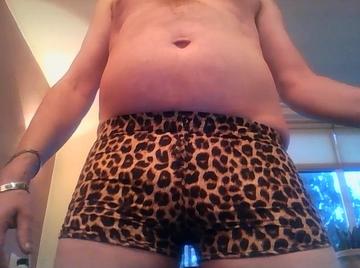 Image thumbnail of Gay bears