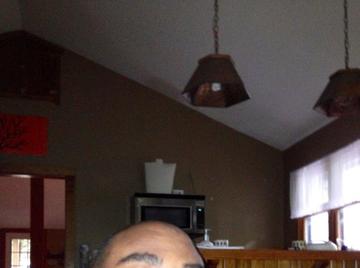 Image thumbnail of Gay bears