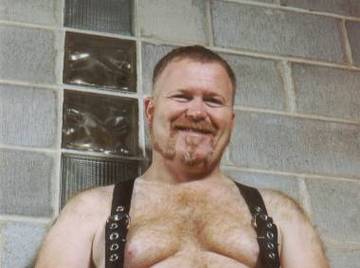 Image thumbnail of Gay bears