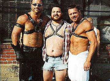 Image thumbnail of Gay bears