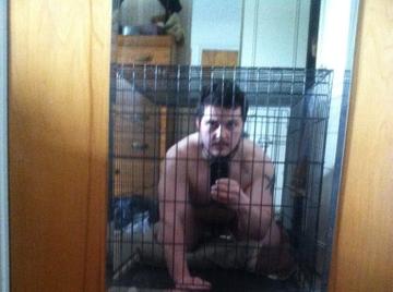 Image thumbnail of Gay bears