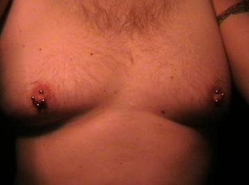 Image thumbnail of Gay bears