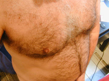 Image thumbnail of Gay bears