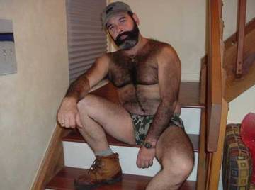 Image thumbnail of Gay bears