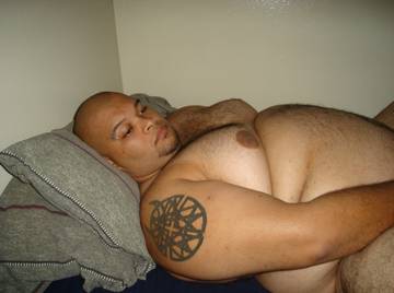 Image thumbnail of Gay bears