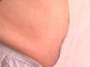 Image thumbnail of Gay bears