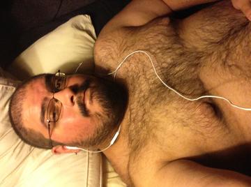 Image thumbnail of Gay bears