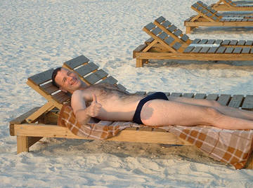 Image thumbnail of Gay bears