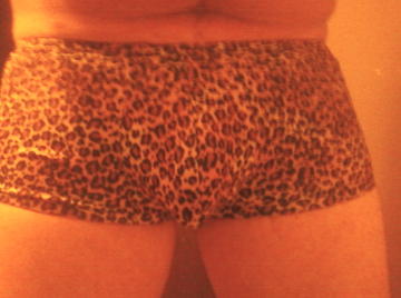 Image thumbnail of Gay bears