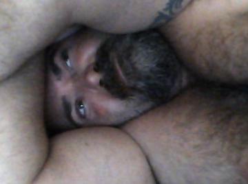 Image thumbnail of Gay bears