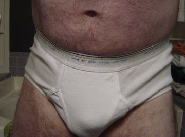 Image thumbnail of Gay bears