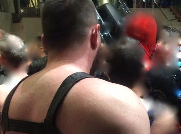 Image thumbnail of Gay bears