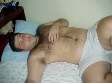 Image thumbnail of Gay bears