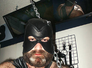 Image thumbnail of Gay bears