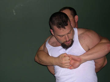 Image thumbnail of Gay bears