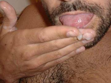 Image thumbnail of Gay bears