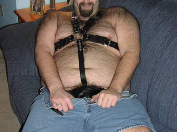 Image thumbnail of Gay bears