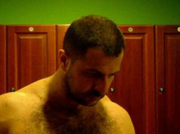 Image thumbnail of Gay bears