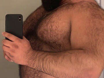 Image thumbnail of Gay bears