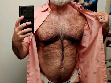 Image thumbnail of Gay bears