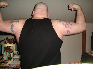 Image thumbnail of Gay bears