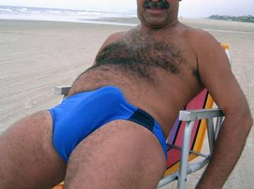 Image thumbnail of Gay bears