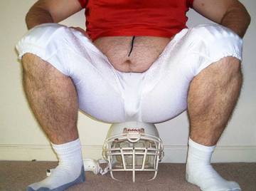 Image thumbnail of Gay bears