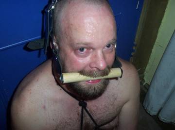 Image thumbnail of Gay bears