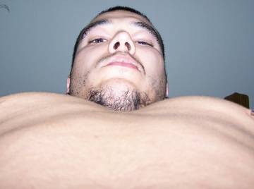 Image thumbnail of Gay bears