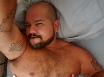 Image thumbnail of Gay bears