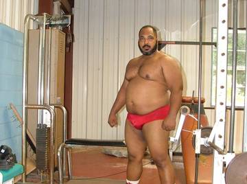 Image thumbnail of Gay bears