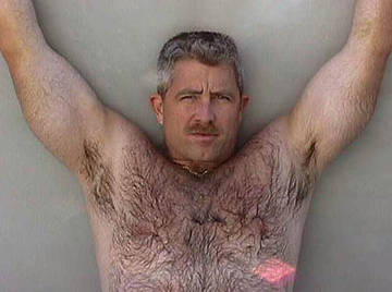 Image thumbnail of Gay bears