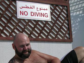 Image thumbnail of Gay bears