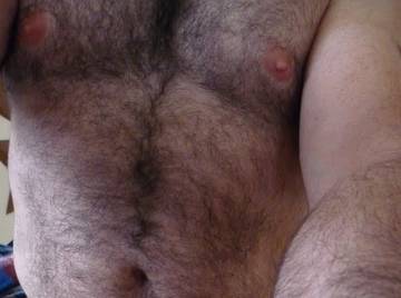 Image thumbnail of Gay bears