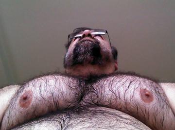 Image thumbnail of Gay bears