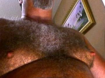 Image thumbnail of Gay bears