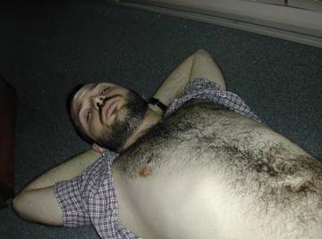 Image thumbnail of Gay bears